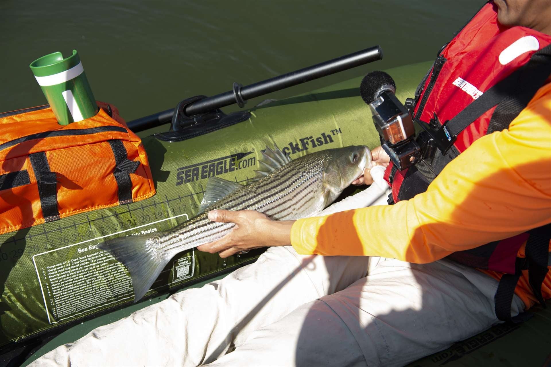 SEA EAGLE PF7 PackFish™ Pro Package PF7K_P