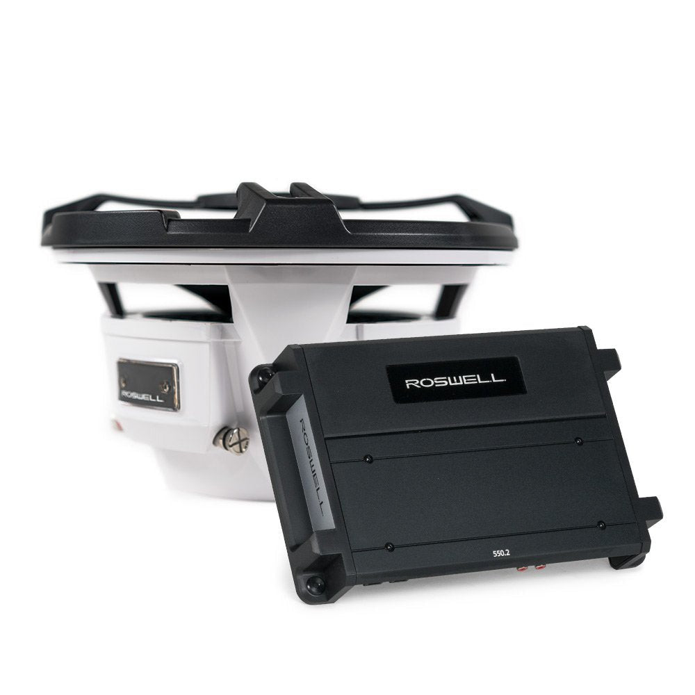 Roswell RMA 10 Subwoofer Package  Black C9202552