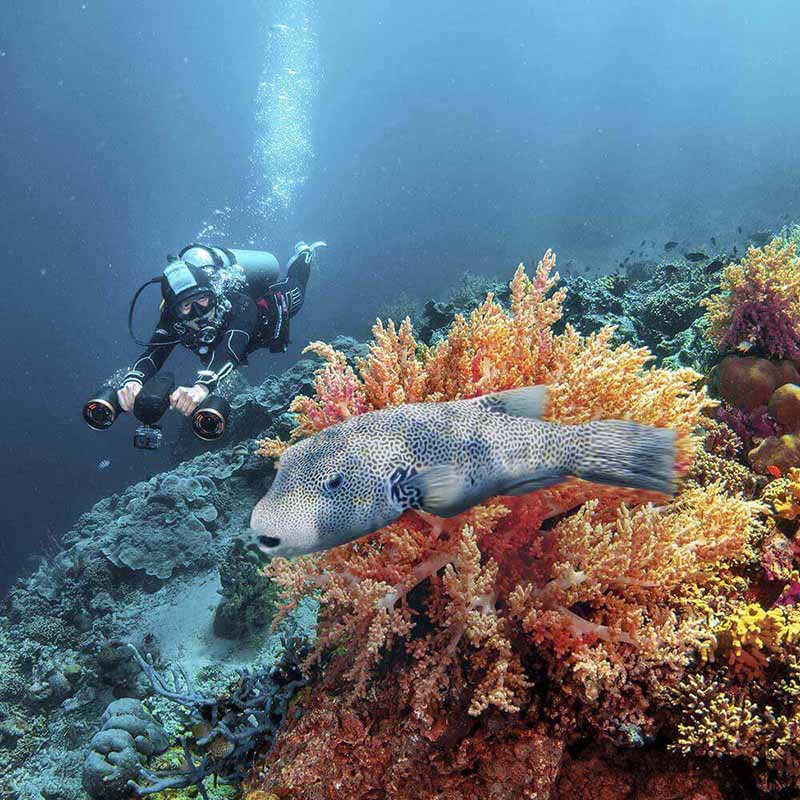 Sublue WhiteShark MixPro Underwater Scooter