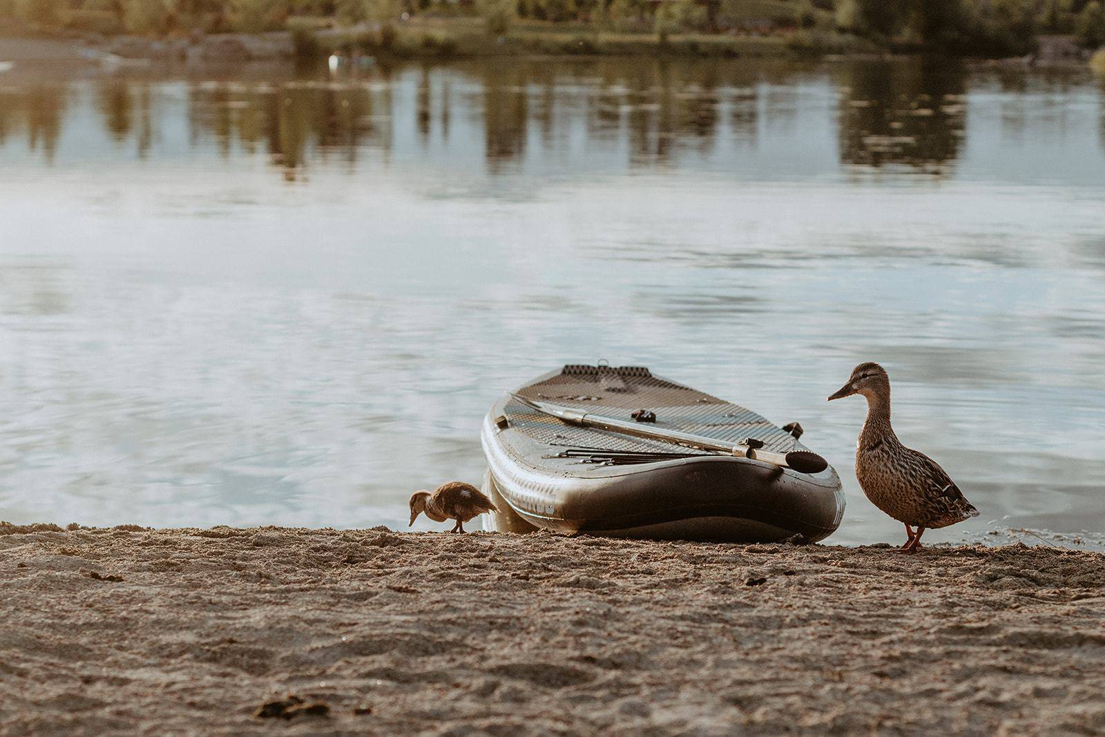 JoyRide XL All-Around Inflatable Paddleboard